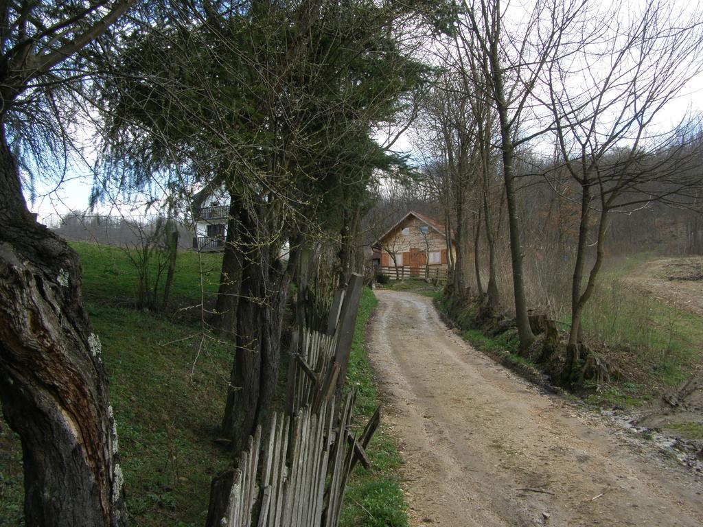 Guesthouse Kuzmanovic Гуча Экстерьер фото