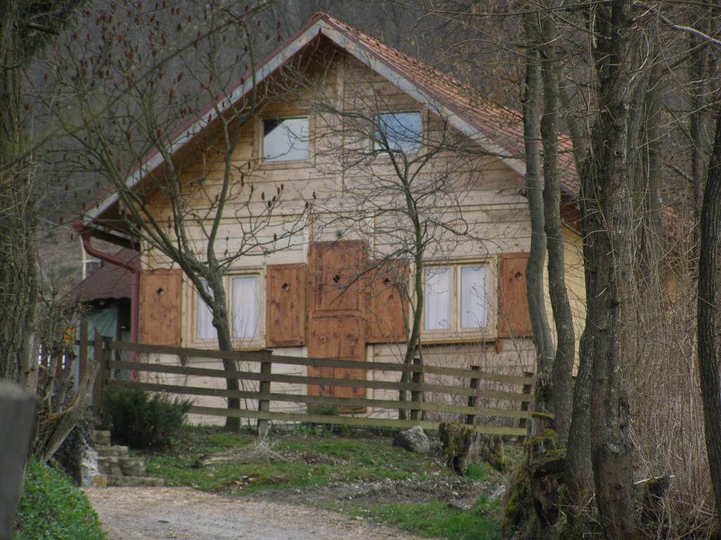 Guesthouse Kuzmanovic Гуча Экстерьер фото