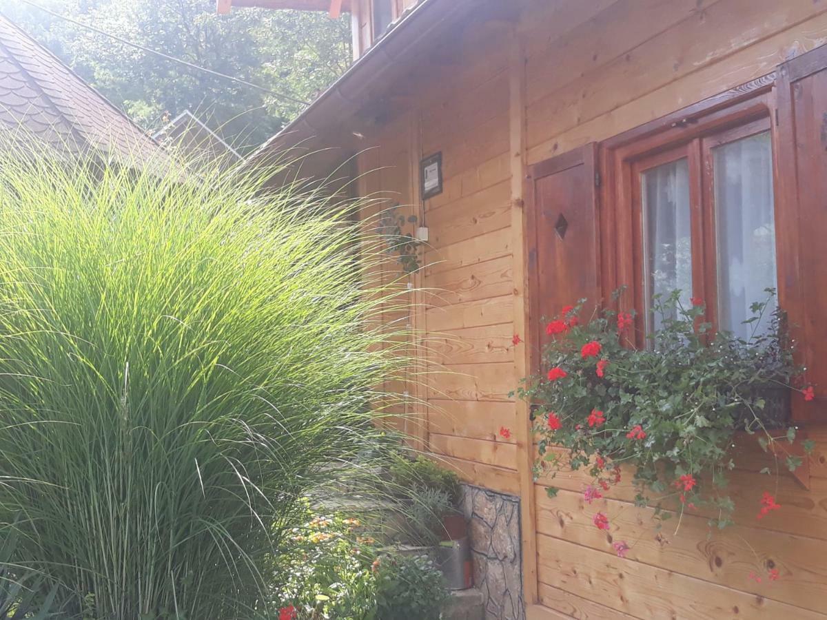 Guesthouse Kuzmanovic Гуча Экстерьер фото